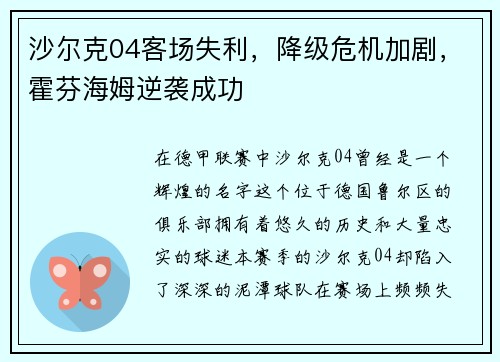 沙尔克04客场失利，降级危机加剧，霍芬海姆逆袭成功